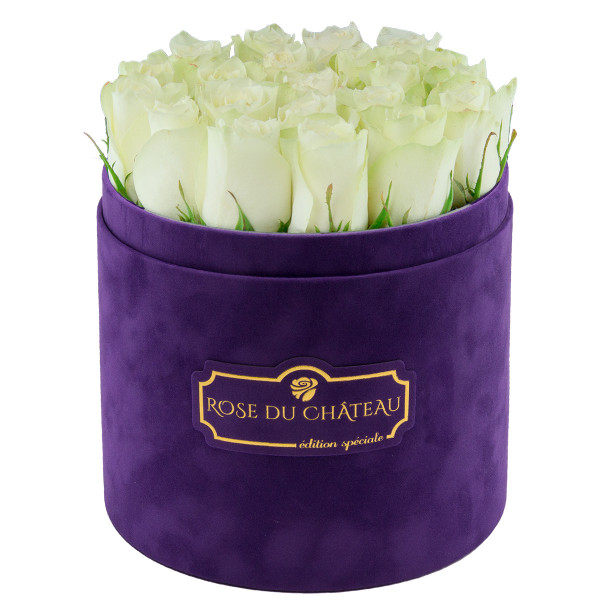 Edition Spéciale Fioletowy Flokowany Box z Białymi Różami Żywymi
