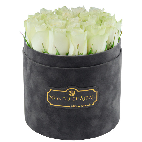Édition Spéciale Antracytowy Flokowany Box z Białymi Różami Żywymi
