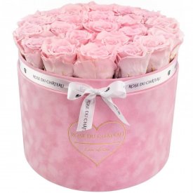 Bladoróżowe Wieczne Róże w Dużym Różowym Flokowanyn Flowerboxie - Love Edition