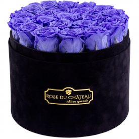 Lawendowe Wieczne Róże w Czarnym Dużym Flokowanym Boxie