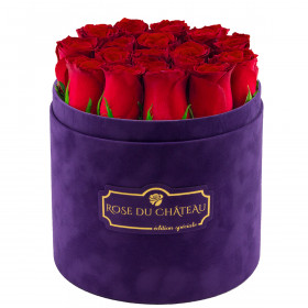 Edition Spéciale Fioletowy Flokowany Box z Czerwonymi Różami Żywymi