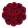 Czerwone Wieczne Róże w Czerwonym Flokowanym Flowerboxie - LOVE EDITION