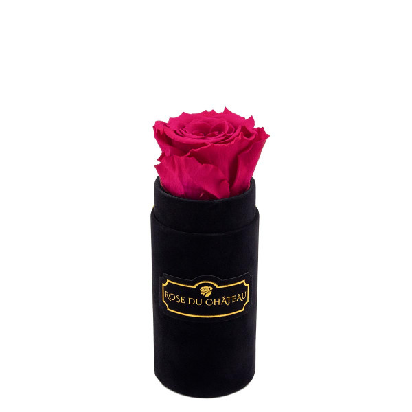 Rosa eterna rosa in flowerbox nero mini