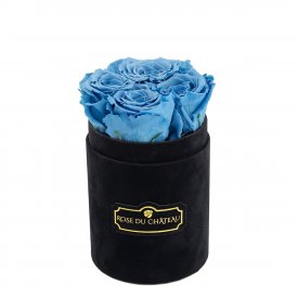 Rose eterne rosse in flowerbox nero piccolo