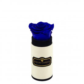 Rosa eterna azzurre in flowerbox marmo bianco mini