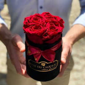 Rose eterne rosse in flowerbox nero piccolo