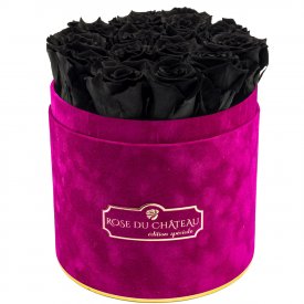 Rose eterne rosse in flowerbox floccato bordeaux