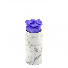 Rosa eterna lavanda in flowerbox marmo bianco mini