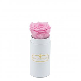 Rosa eterna rosa pallido in flowerbox bianco mini
