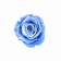 Rosa eterna azzurre in flowerbox marmo bianco mini