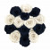 Rose eterne bianco & nero in flowerbox tondo nero