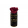 Rosa eterna rossa in flowerbox industriale nero mini