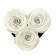 Rose eterne rosse in box cuore nero