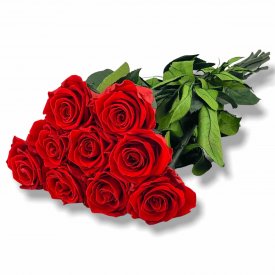 Strauß von 9 roten Infinity Rosen - 50cm 