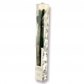Weiße Infinity Rose - 50 cm
