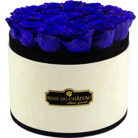 Azurblaue Ewige Rosen in COCO BEFLOCKTER Rundbox Large