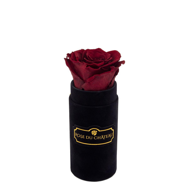 Rote Ewige Rose in schwarzer Mini Rosenbox