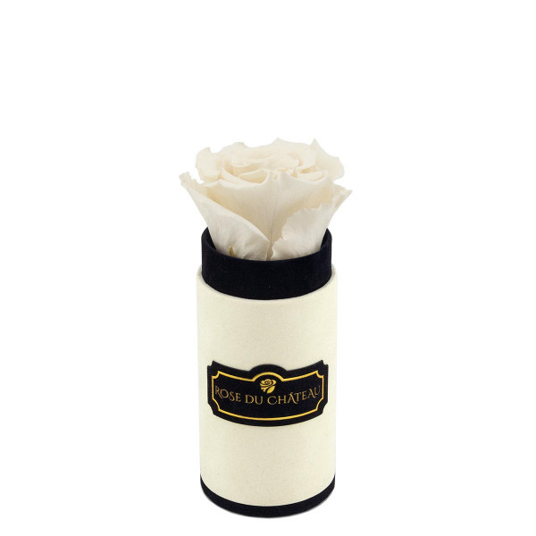 Weiße Ewige Rosen in COCO BEFLOCKTER Mini Rundbox
