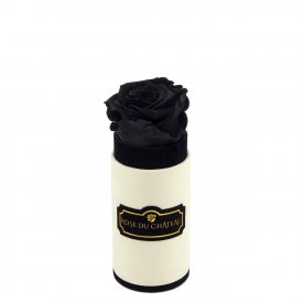 SCHWARZE Ewige Rose in COCO BEFLOCKTER Mini Rundbox