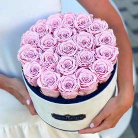 Zartrosafarbene Ewige Rosen in coco beflockter Rundbox Large