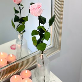 Zartrosafarbene Infinity Rose - 50 cm