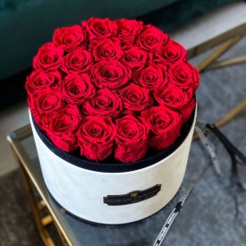 Rote Ewige Rosen in Coco Beflockter Rosenbox Large