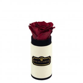 Rote Ewige Rose in Coco Beflockter Mini Rosenbox