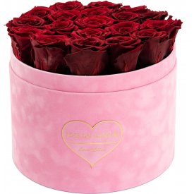 Rote Ewige Rosen in Rosafarbener Beflockter Rosenbox Large - LOVE EDITION