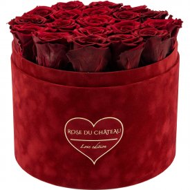 Rote Ewige Rosen in Bordeauxroter Beflockter Rosenbox Large - LOVE EDITION