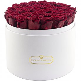 Rote Ewige Rosen in weisser Rosenbox Mega