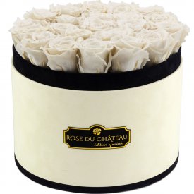 Weiße Ewige Rosen in COCO BEFLOCKTER Rundbox Large