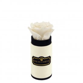 Weiße Ewige Rosen in COCO BEFLOCKTER Mini Rundbox