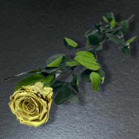 Rote Infinity Rose - 50 cm