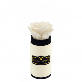 Weiße Ewige Rosen in COCO BEFLOCKTER Mini Rundbox