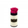 Rosafarbene Ewige Rose in COCO BEFLOCKTER Mini Rosenbox