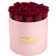 Rote Ewige Rosen in rosafarbener Rosenbox