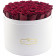Rote Ewige Rosen in weisser Rosenbox Mega