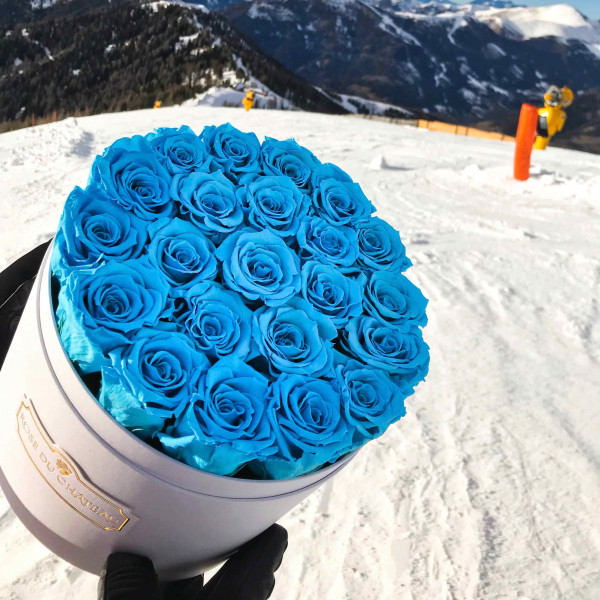 Eternity Azure Roses & Large White Flowerbox