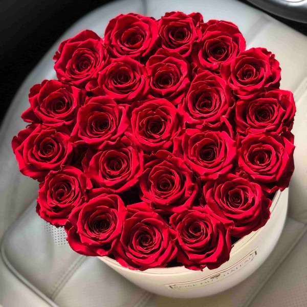 Eternity Red Roses & Large White Flowerbox