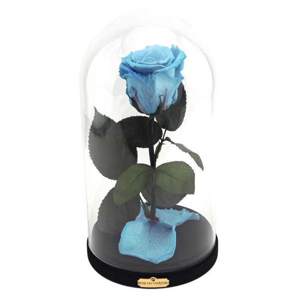 Eternal Azure Rose Beauty & The Beast
