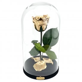 Eternal Gold Rose Beauty & The Beast