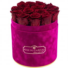 Eternity Red Roses & Fuchsia Flocked Flowerbox