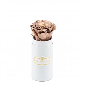 Eternity Gold Rose & White Mini Flowerbox
