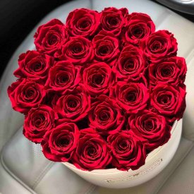 Eternity Red Roses & Large White Flowerbox