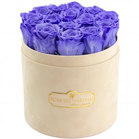 Eternity Lavender Roses & Beige Flocked Flowerbox