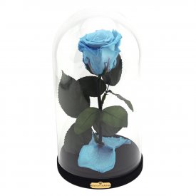 Eternal Azure Rose Beauty & The Beast