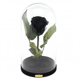 Eternal Black Rose Beauty & The Beast