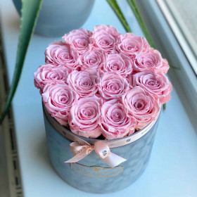 Eternity Pale Pink Roses & Gray Flocked Flowerbox