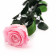Eternal Palepink Rose - 50 cm