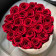 Eternity Red Roses & Large White Flowerbox